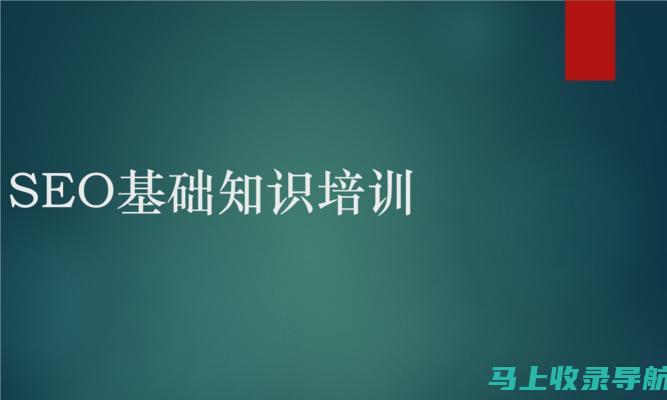 初识SEO：零基础教程，带你了解搜索引擎优化的世界