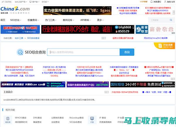 站长统计首页深度解析：流量背后的秘密武器