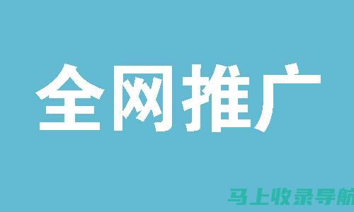 SEO推广运营进阶教程：从入门到精通的必经之路